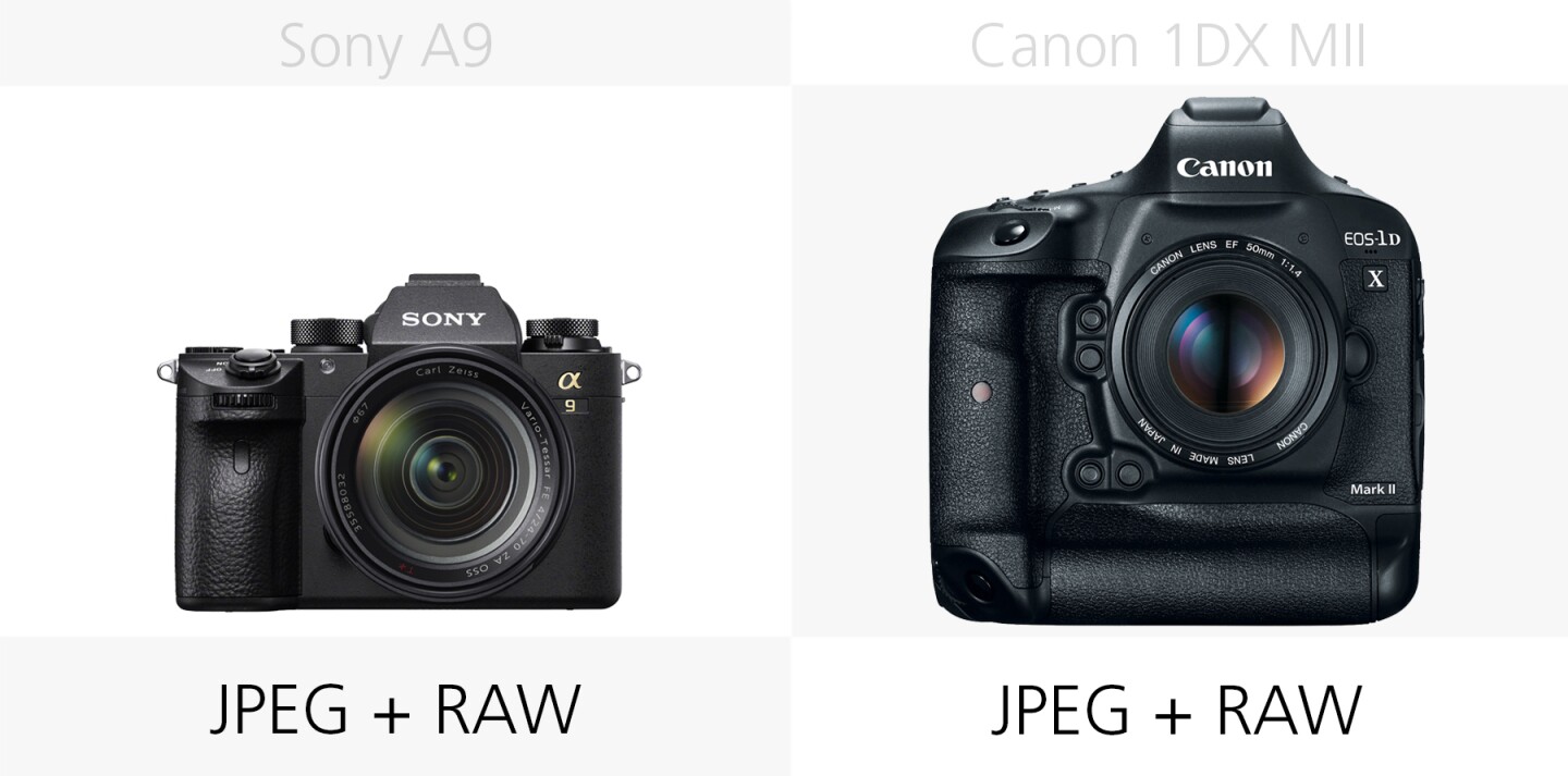 Comparing the photo file types of the Sony A9 and Canon 1DX Mark II