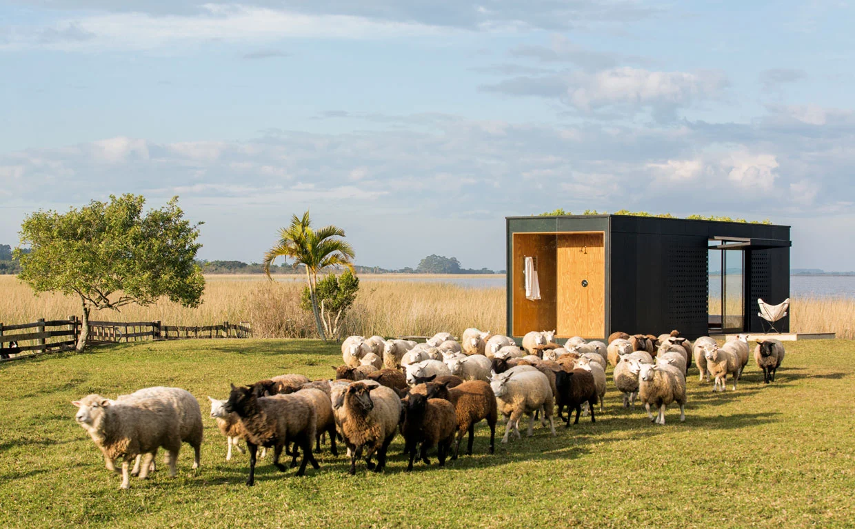 Minimod, by MAPA Architects (Photo: Leonardo Finotti)