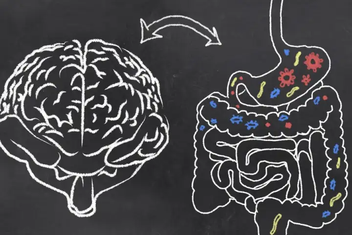 The study found personality traits such as sociability could be linked to certain gut bacteria species