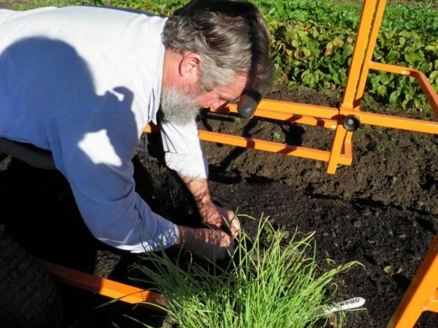 Inventor Brendan Corry demonstrating his Wunda Weeder
