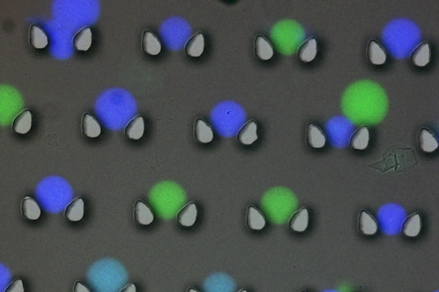 A microscope image of new microcapsules of data-encoded DNA, complete with fluorescent tags