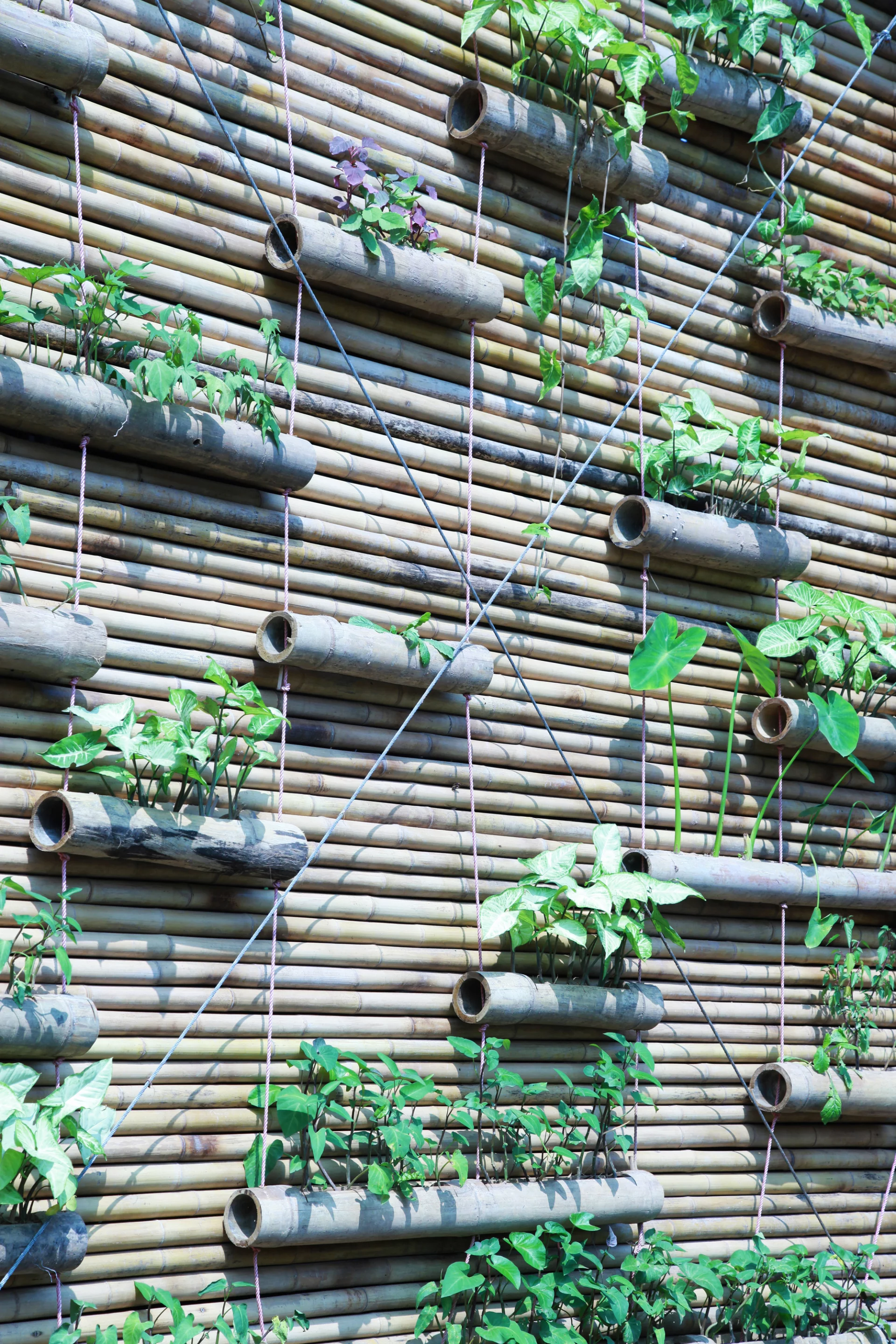 The exterior features a green wall (Photo: Doan Thanh Ha)