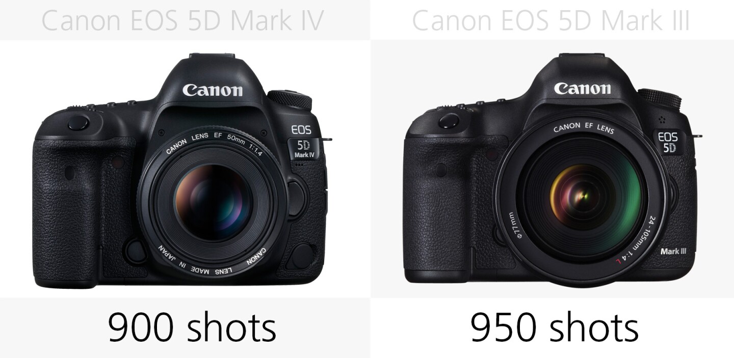 reparatie Machtigen Bestrating Canon 5D Mark IV vs. Canon 5D Mark III