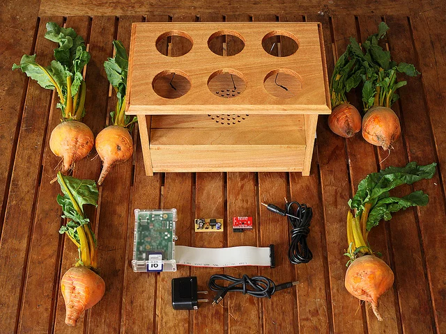 All of the components that make up BeetBox, including root vegetables and a Raspberry Pi (Photo: Scott Garner)