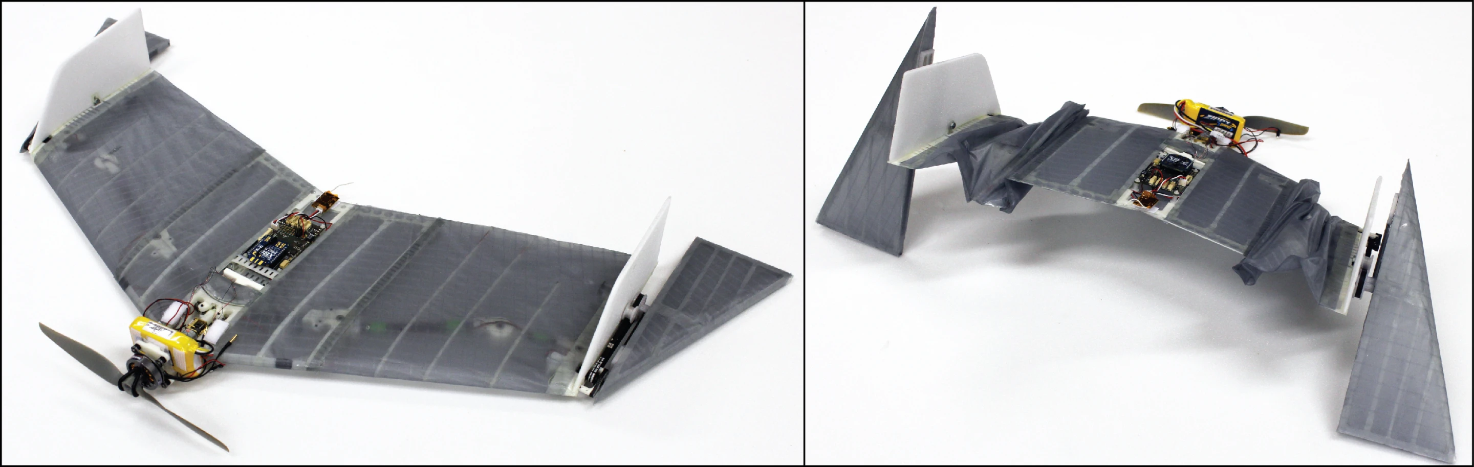 The DALER drone was actually inspired by the vampire bat that uses the tips of its wings like legs when moving around on the ground