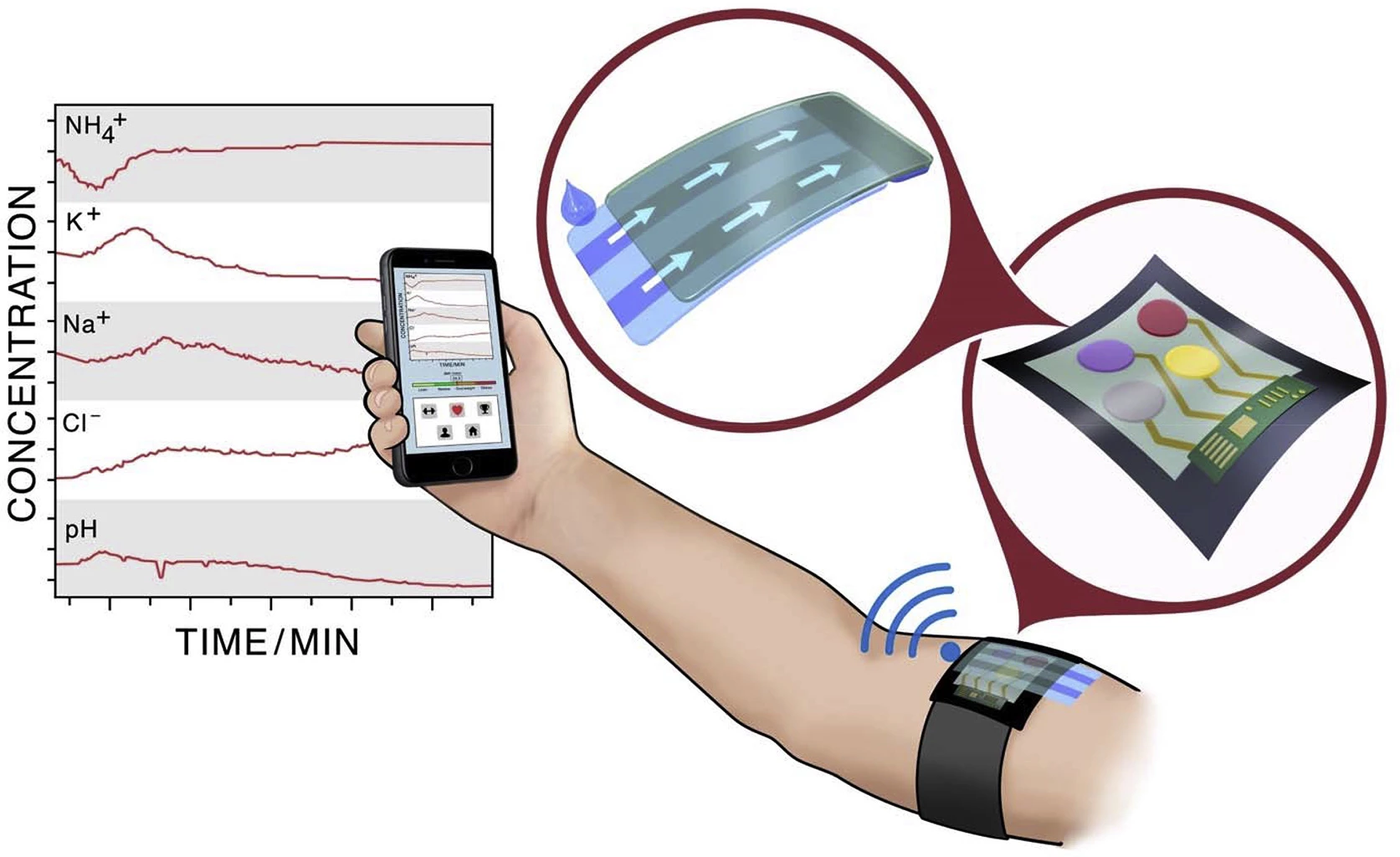 In this scenario, an armband measures blood and sweat and sends the information to a smartphone app