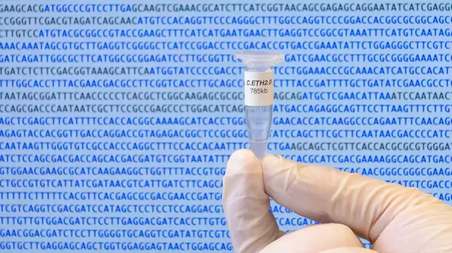 Scientists have created the first computer-generated genome of a living organism