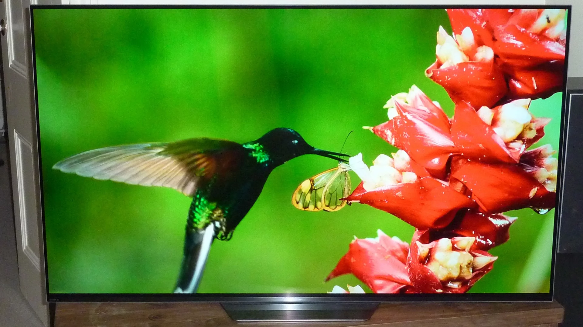 The A8F produces vibrant colors