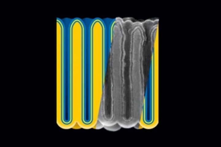Electrostatic nanocapacitors formed in nanoporous anodic aluminum oxide (darker yellow) film by sequential atomic layer deposition of metal (blue), insulator (yellow), and metal. (Image credit: A. James Clark School of Engineering, U-Md.)