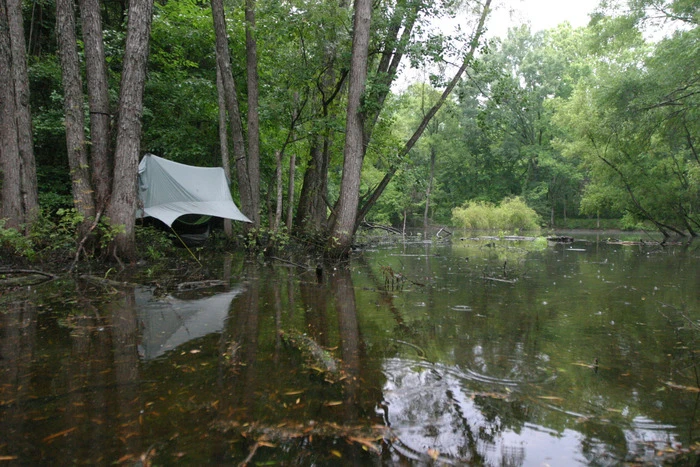 A series of lines connected to trees and the ground keep the top waterproof layer taut, providing a firm barrier against wind and rain