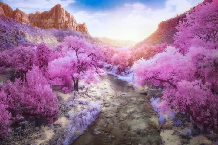 First place winner in the Infrared Color category of the Life in Another Light competition - The Watchman