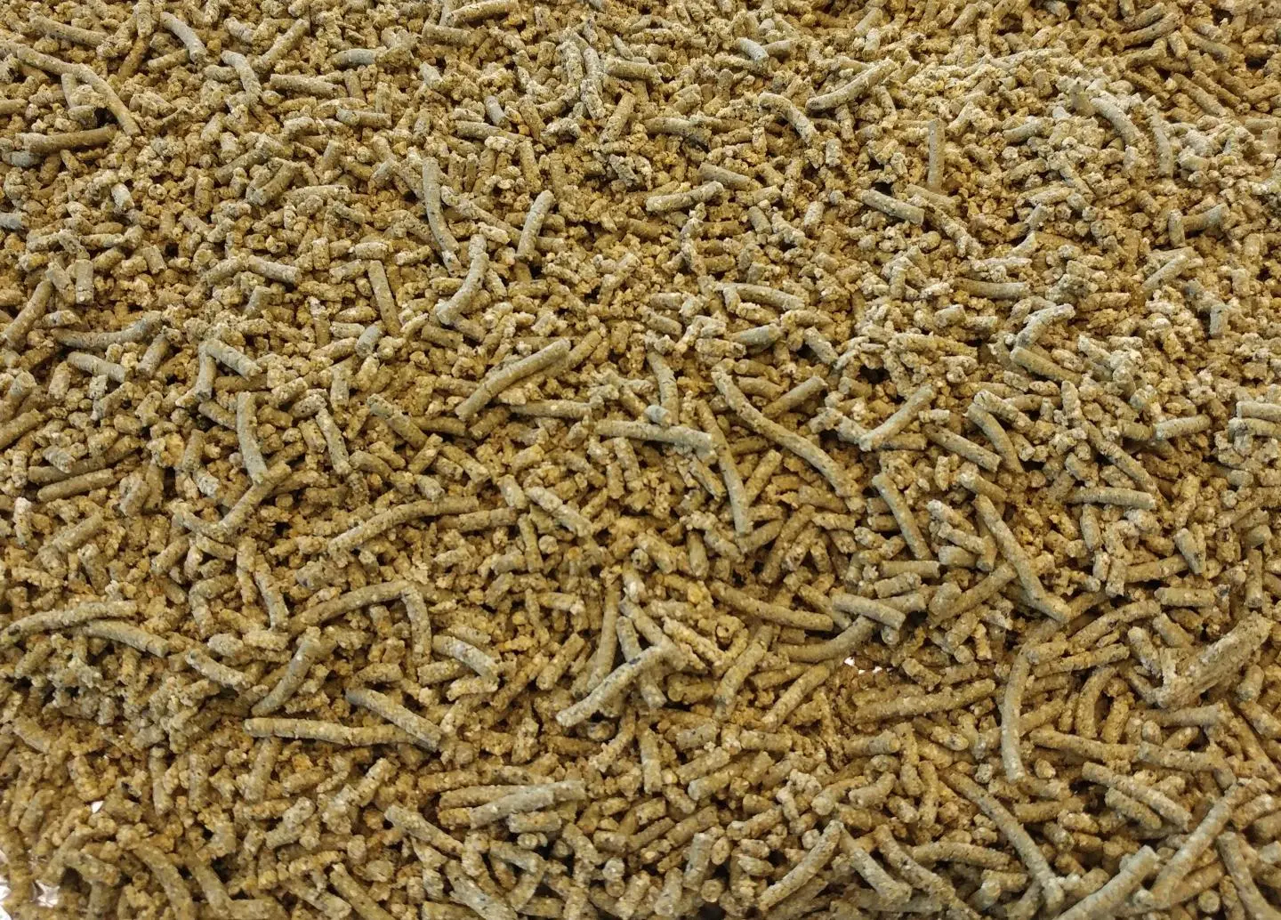 The Nannochloropsis oculata algae meal used in the study