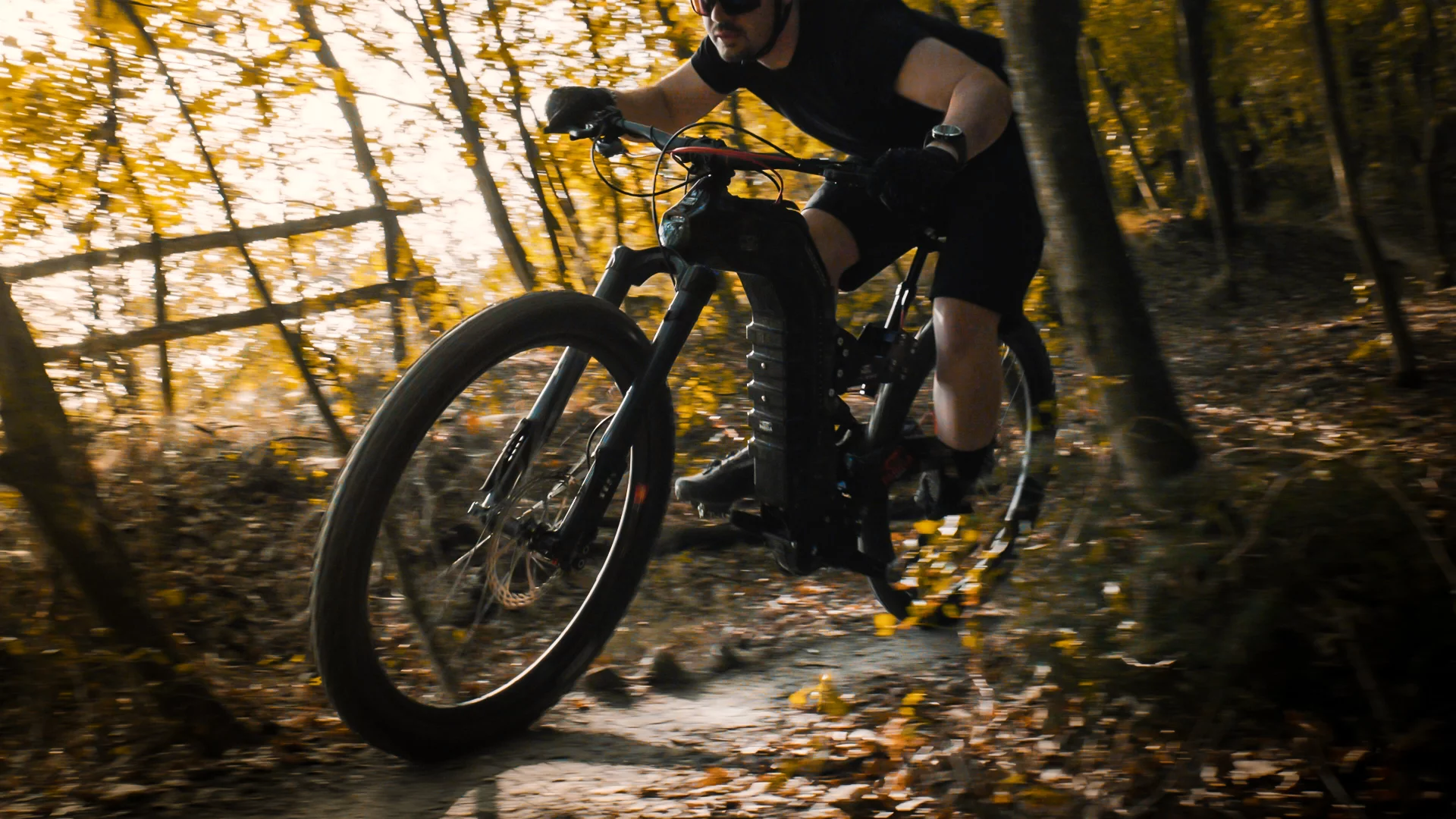 The 250-W mid-mount motor produces 90 Nm of torque and pedal-assist to 25 km/h