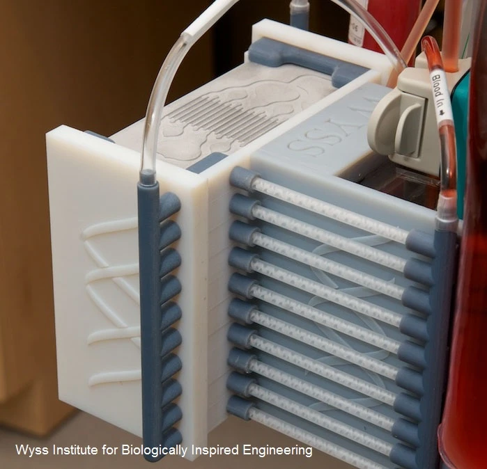 Experimental dialysis set up (Image: DARPA/Wyss Institute)