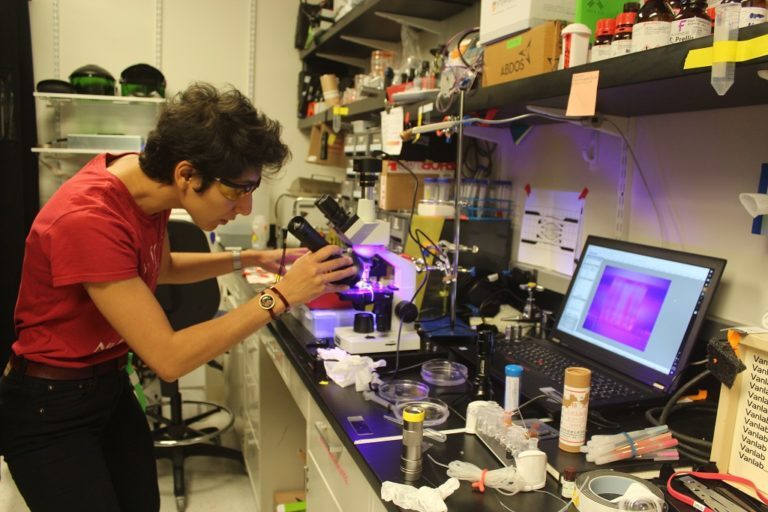 The new technique can rapidly print the complex microvascular and scaffolding that allows human tissue to survive