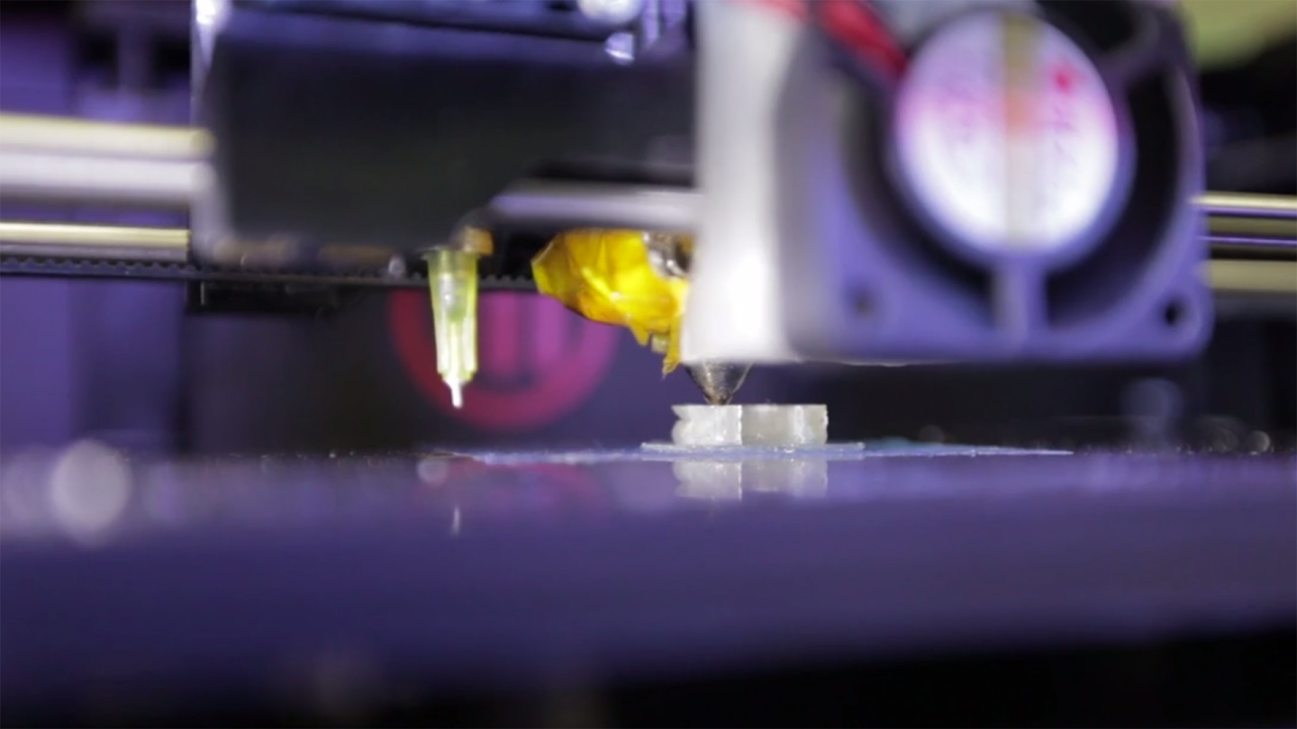 The PLA-constructed frame provides structure to the mixture as it grows into cartilage