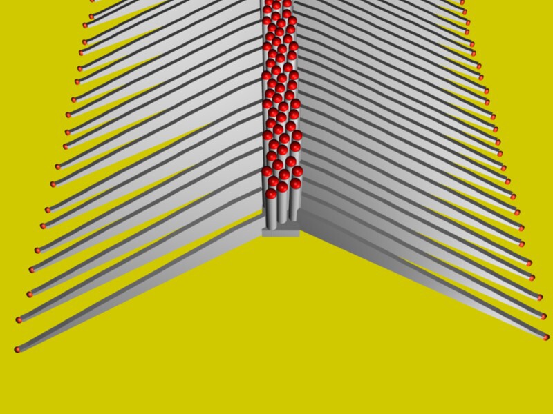 Graphic illustrates a single row of nanowires (cylinders with red tops) with fin-shaped nanowalls extending outward