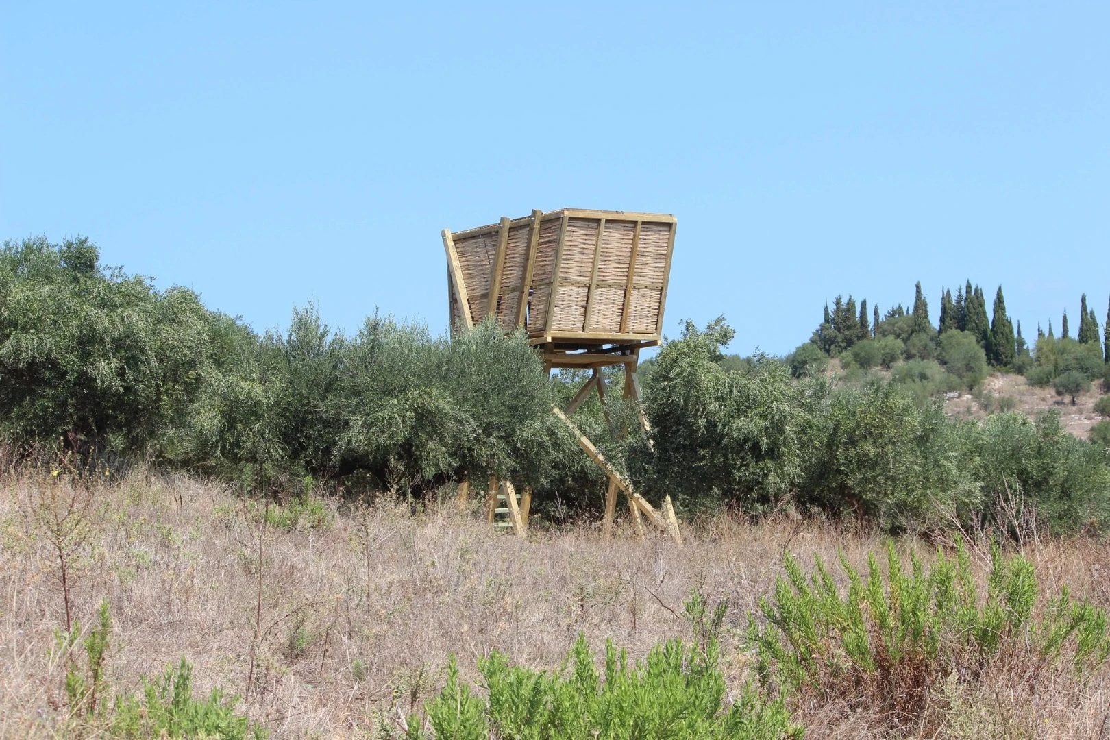 The Tragata's wall panels were weaved using reeds found on-site