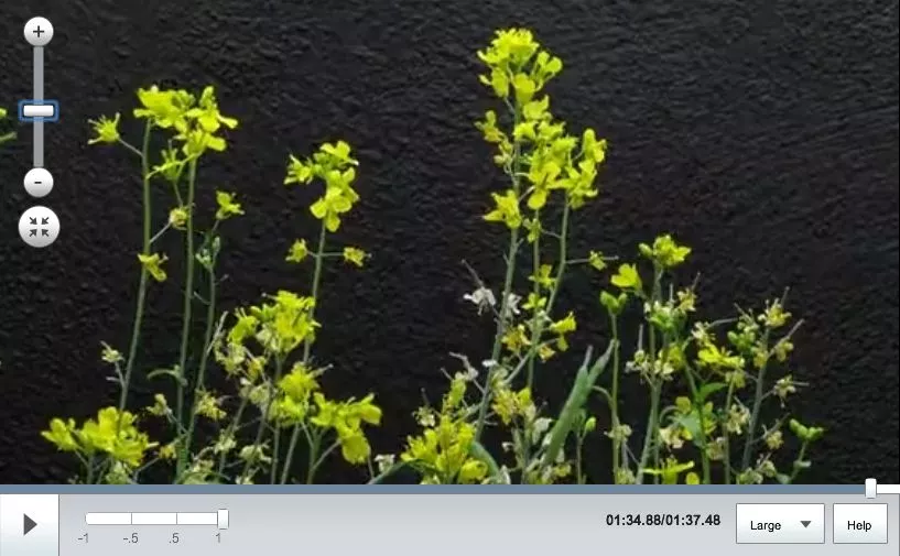 GigaPan Time Machine allows users to create ultra-high-resolution panoramic time-lapse videos, using a regular digital camera and a GigaPan robotic tripod