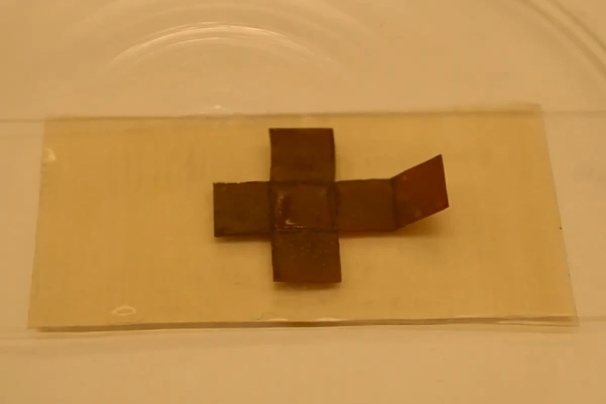 Scientists have created a new smart material that can heal itself and change shape when exposed to heat and light