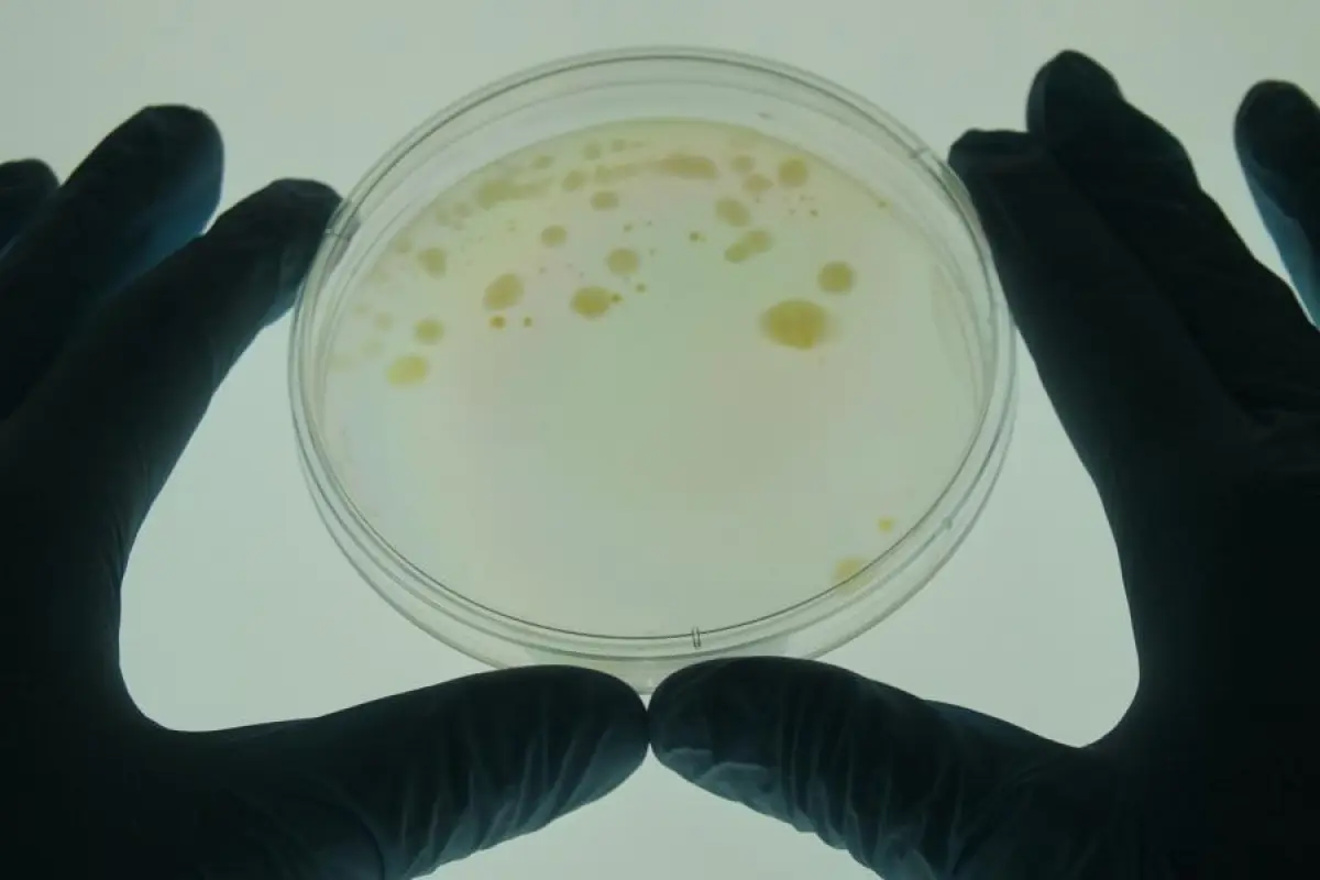 Ambitious new research suggests a probiotic-based vaccine could be developed that protects against stress, anxiety and depression