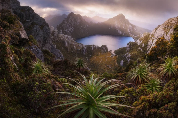 A highlight from the top 50 images in the Open, Nature category of this year's Pano Awards