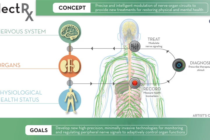 DARPA's ElectRx program (Electric Prescriptions) is funding research into tiny embedded devices that can monitor conditions inside the body and stimulate particular nerves in response, enhancing the body's self-healing abilities.