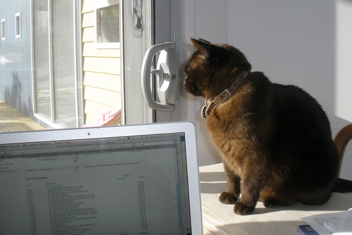 UK research has found that cats and dogs are owned by owners with similar characteristics but that cat owners are more educated