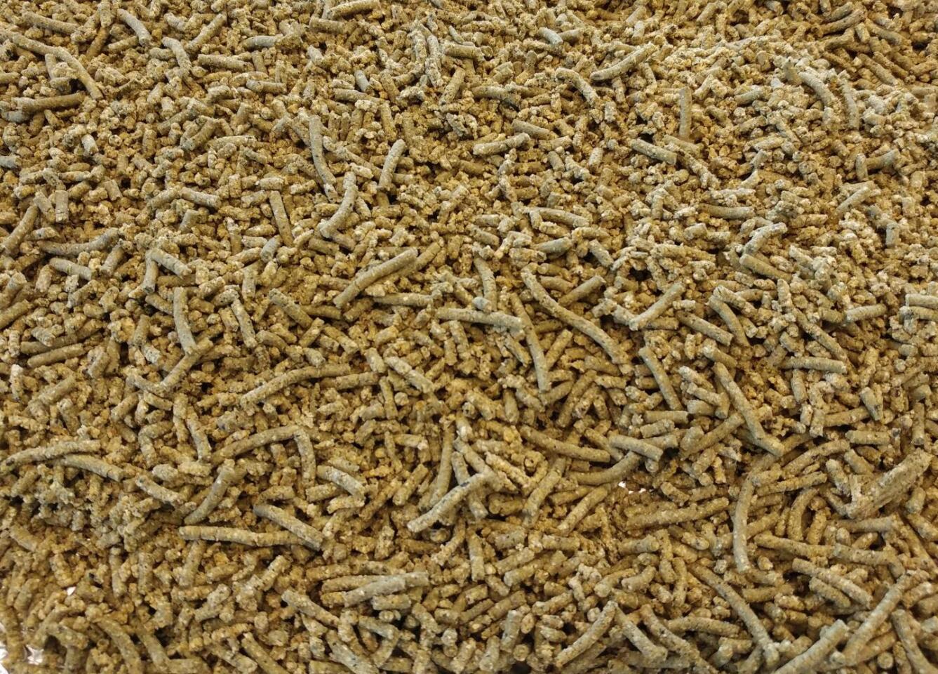 The Nannochloropsis oculata algae meal used in the study