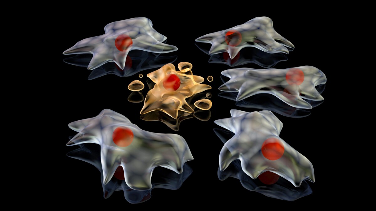 ‘Footprint of Death’: How traces of dying cells help viruses spread