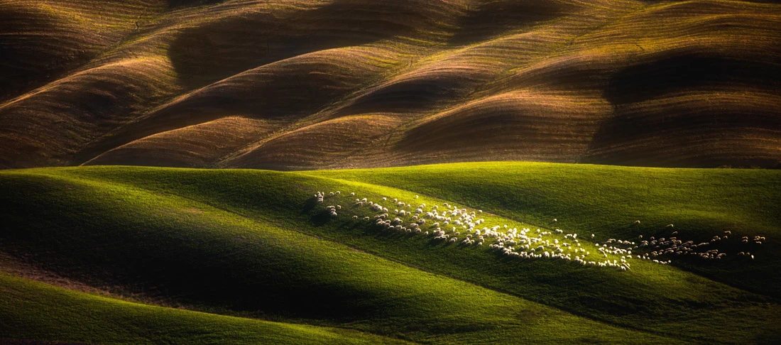 Here are some of our favorite shortlisted photographs in the Open - Nature / Landscape category