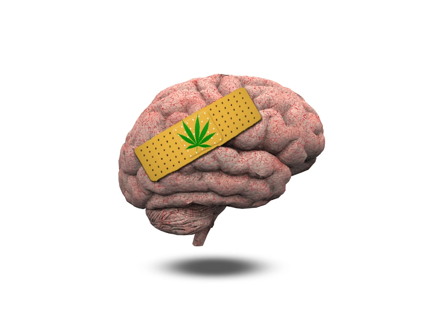 It was discovered in mouse experiments that anti-inflammatory drugs could protect against any potential cognitive damage from THC administered at a young age