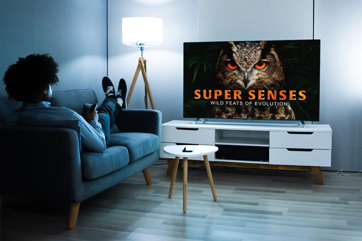 Get educated during your free time with MagellanTV