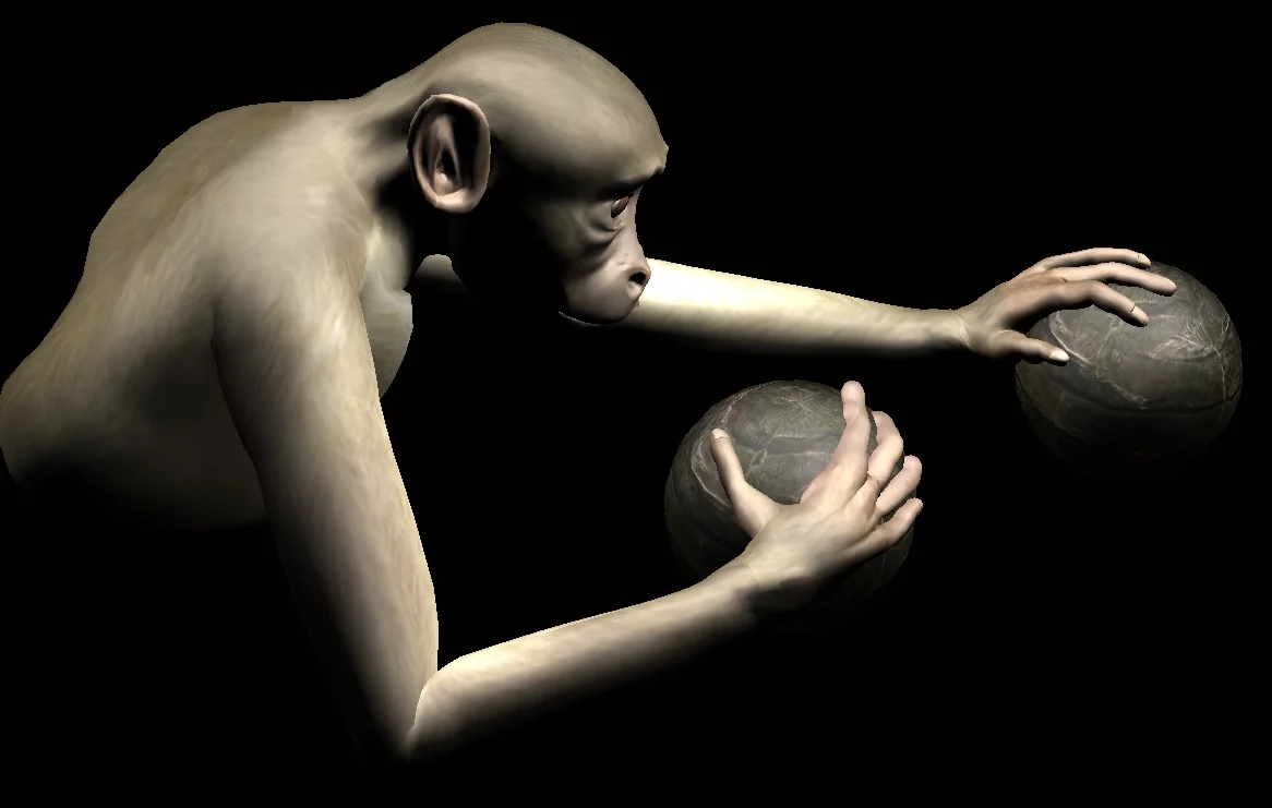 The avatar monkey used in the research – although the test monkeys saw its arms from a first-person viewpoint