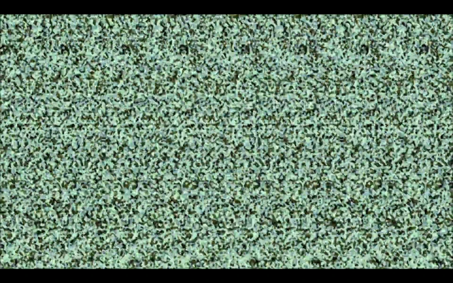 Without properly viewing the image, a random dot illusion appears meaningless