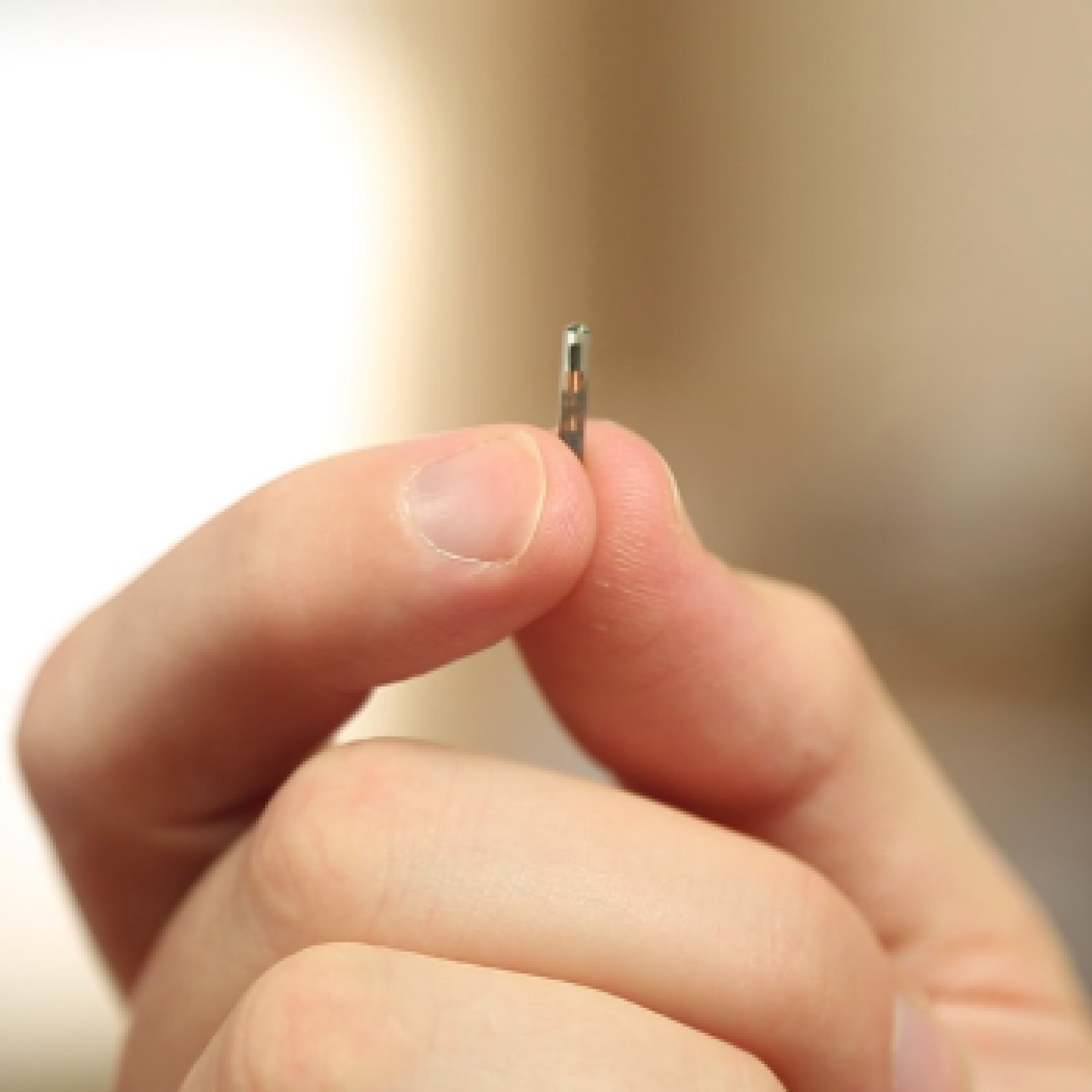 US company offers free microchip implants to all employees