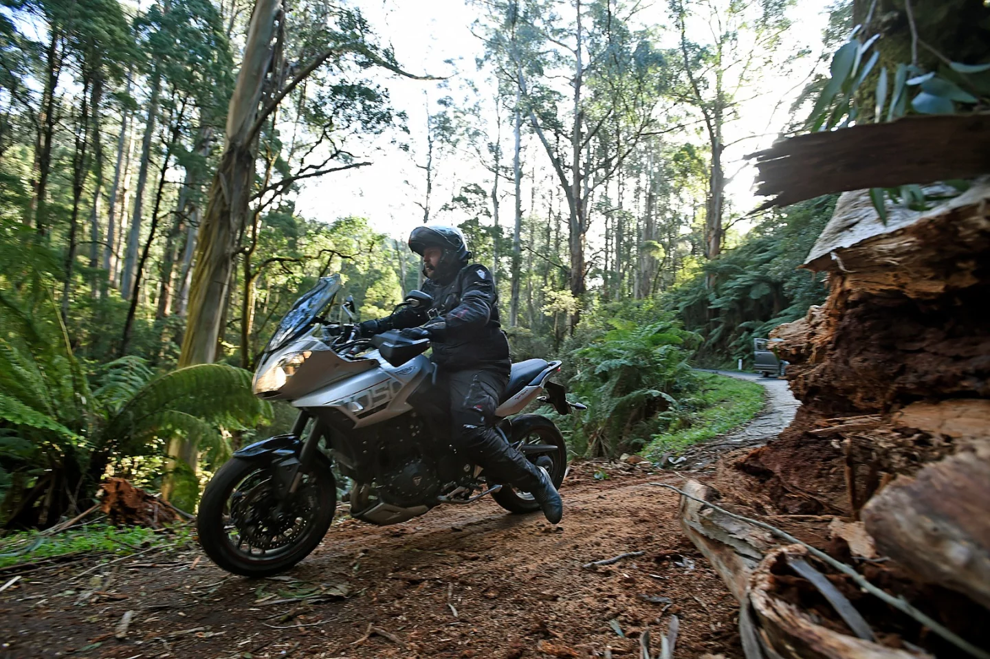 Giant tree collapse in the Tara valley made for an interesting moment on the Gippsland launch