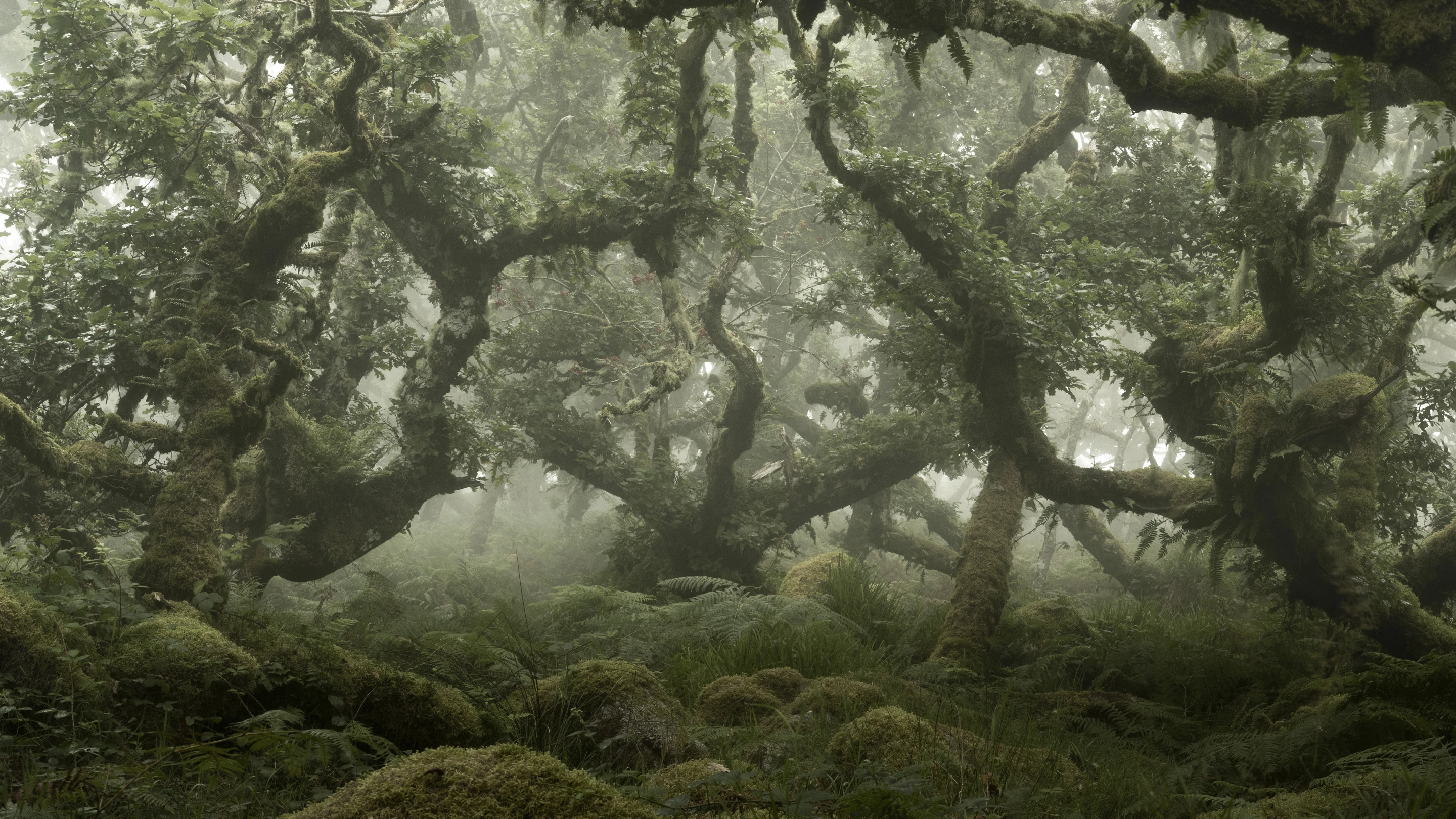 Top 100. War of the Worlds. Dartmoor National Park, Devon, UK