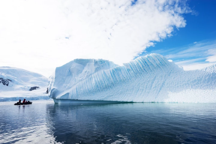 Researchers have discovered evidence of phytoplankton blooms beneath the sea ice of Antarctica