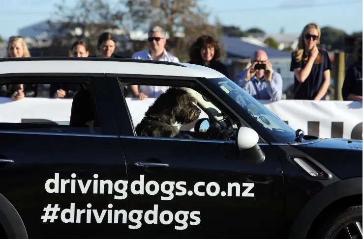 Monty takes the wheel