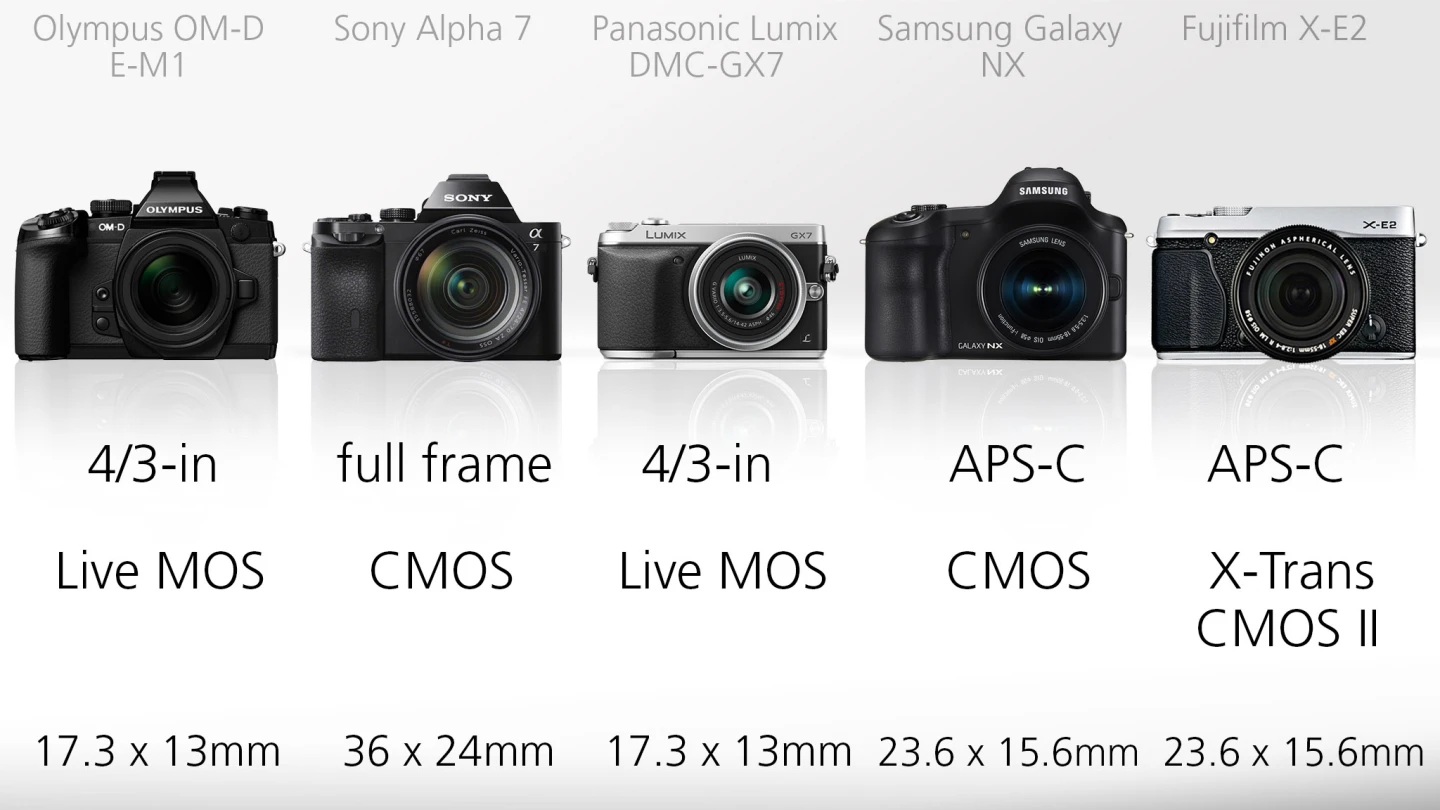 The size of sensors deployed here range from the 4/3-inch type (17.3 x 13 mm) ones in the Olympus and Panasonic, right up to the full frame (36 x 24 mm) monster lurking in the Sony A7
