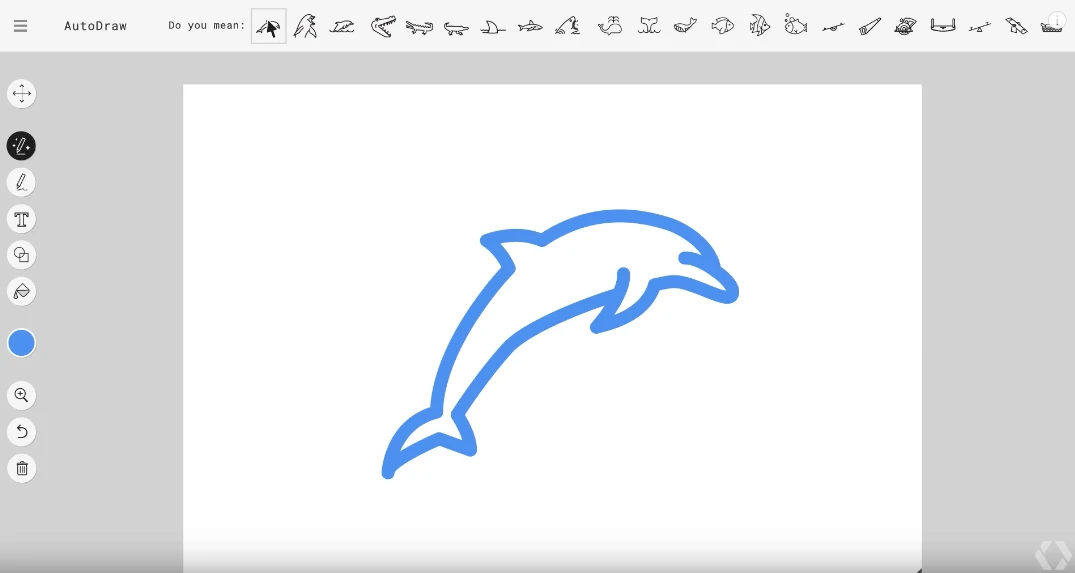 It's a dolphin!