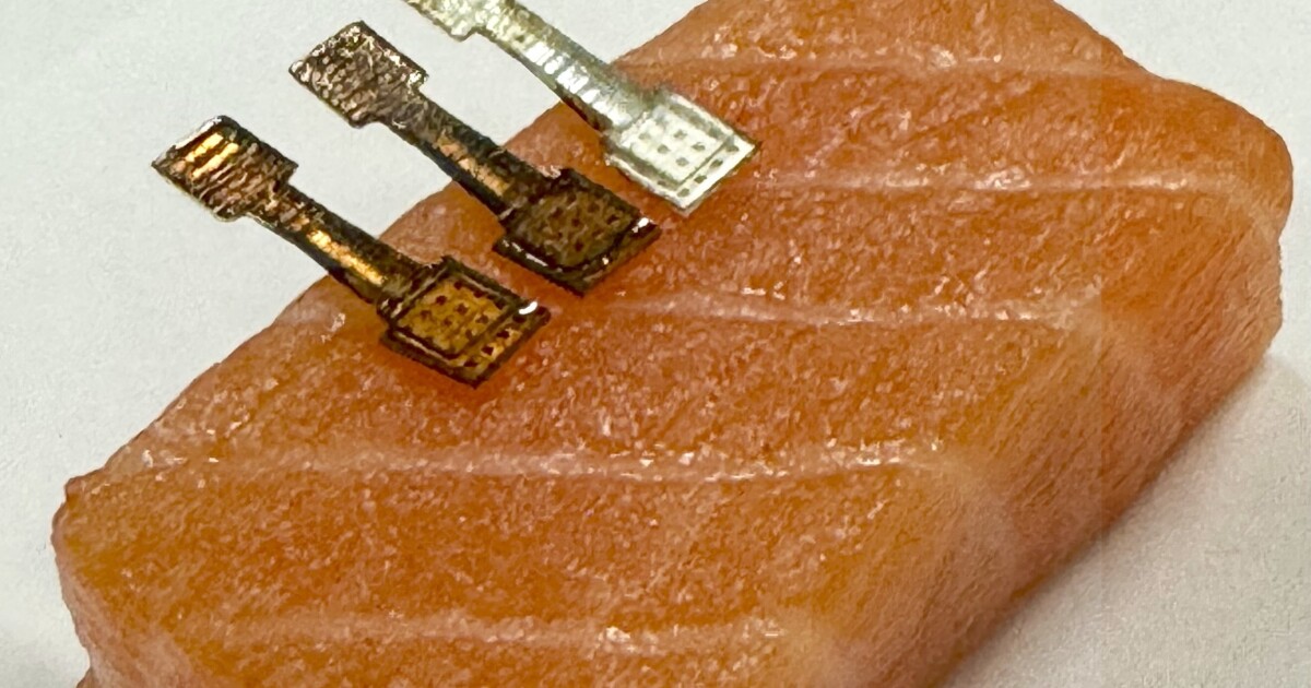 Fresh or fishy: Microneedle device spots sketchy seafood in real time Fresh or fishy: Microneedle device spots sketchy seafood in real time