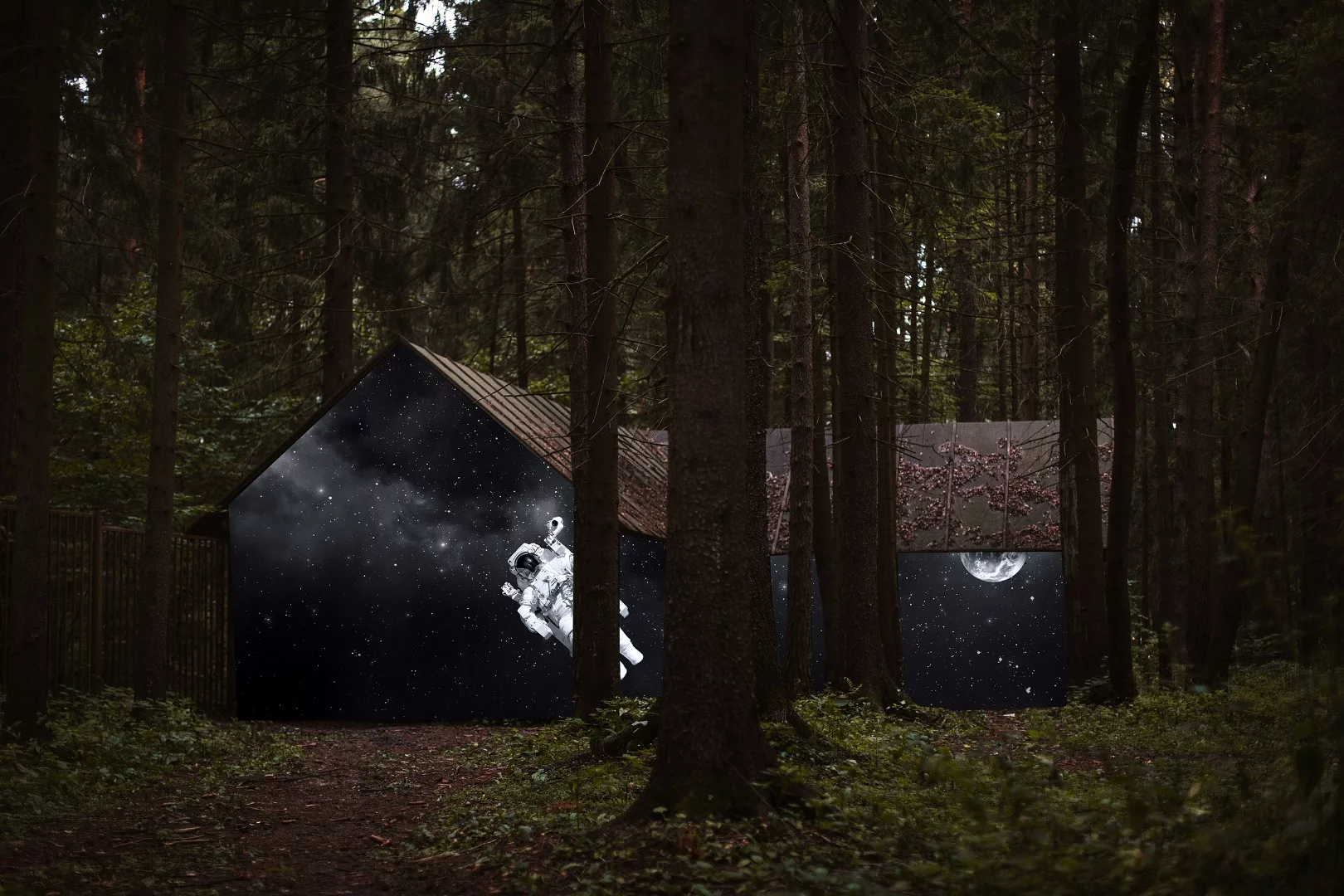 Artist caption, "Fantasy on the theme of the universe"