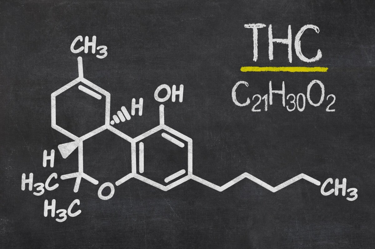 Buy isolating a specific pathway of certain serotonin receptors, researchers believe they can maintain the pain relief and tumor-inhibiting qualities of THC, whilst ridding the user of any cognitive impairment (Credit: Shutterstock)