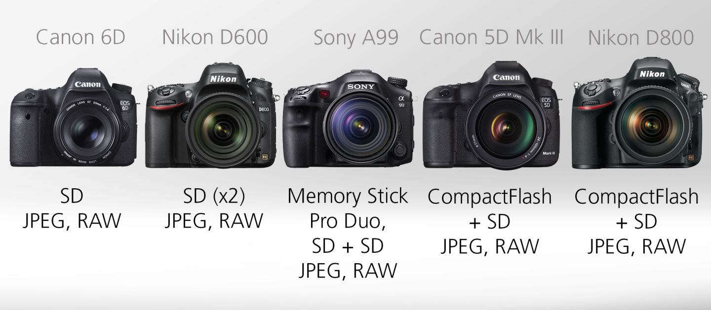 Full Frame DSLR Comparison Guide - Storage and media