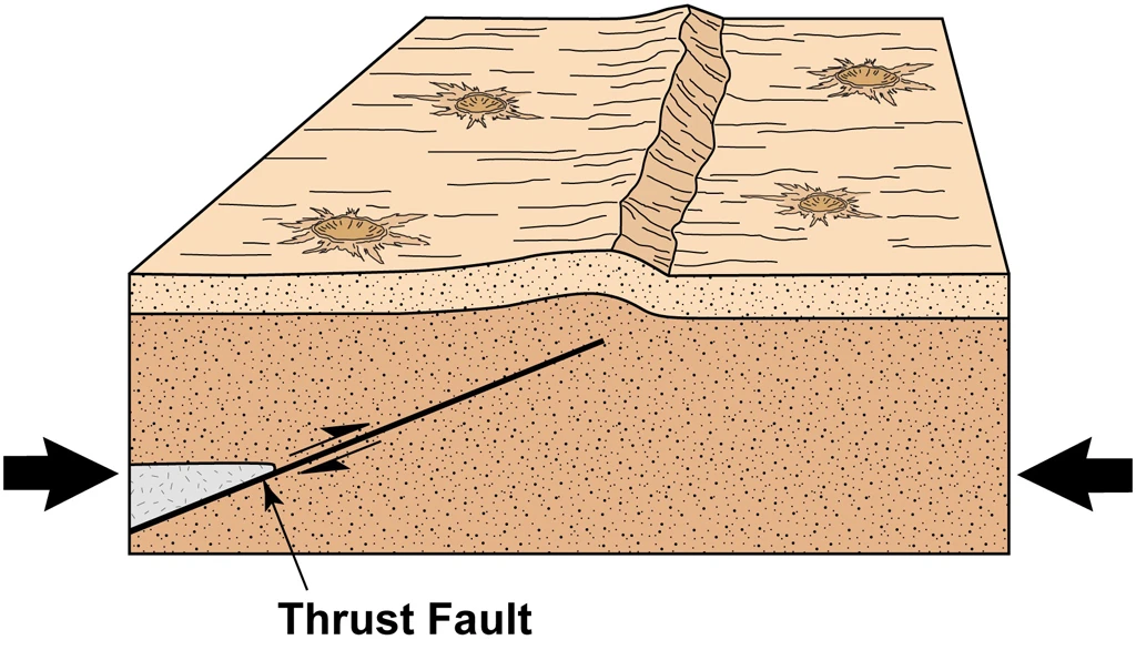 Thrust faults are formed when the lunar crust is pushed together, breaking the near-surface materials (Image: Arizona State University)