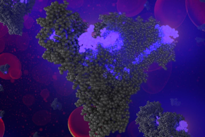 The engineered fat molecules hiding chemotherapy drugs, tricking the tumors into eating the fat