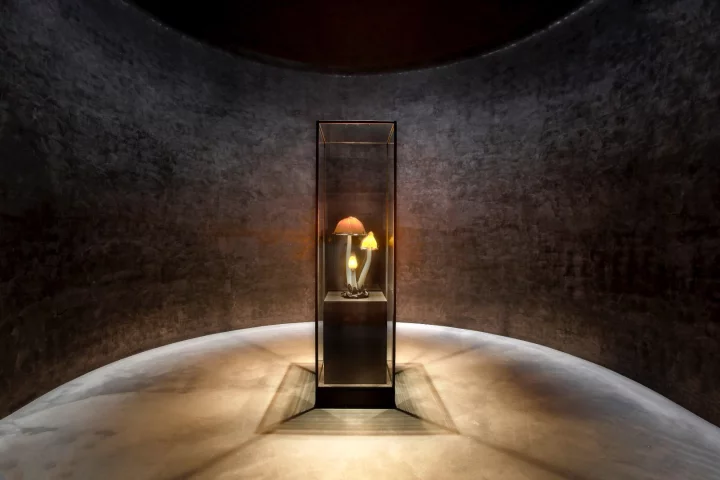 Yumin Art Nouveau Collection was crowned World Interior of the Year at the 2018 Inside World Festival of Interiors