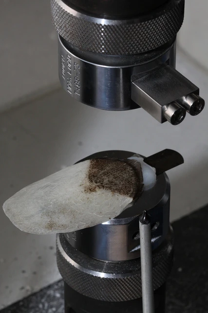 An Arapaima scale rests on the bottom half of Meyers' testing apparatus
